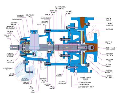 Centrifugal Pump Drawing|exploded view of centrifugal pump.